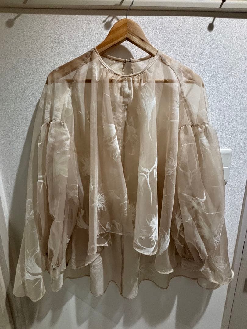 シアーオーバーフレアブラウス