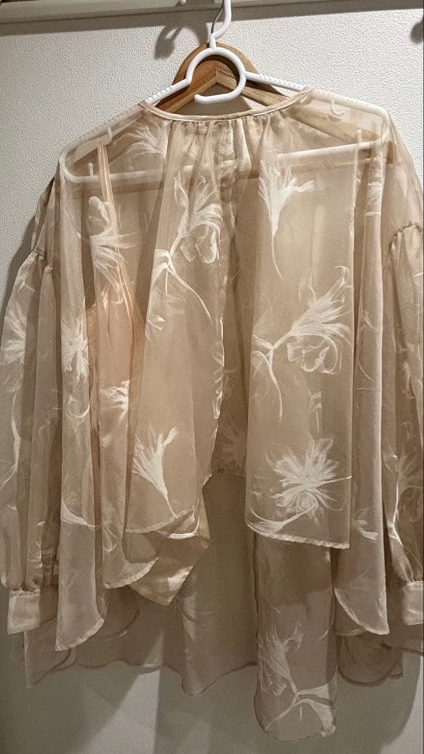 シアーオーバーフレアブラウス