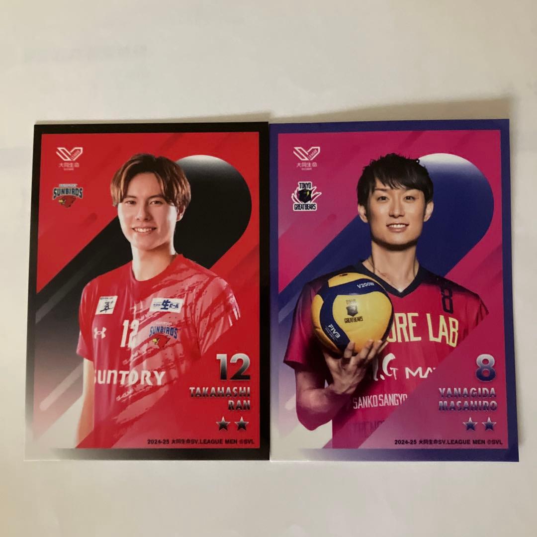 Awesome SVリーグを闘った四人の記録　DVD