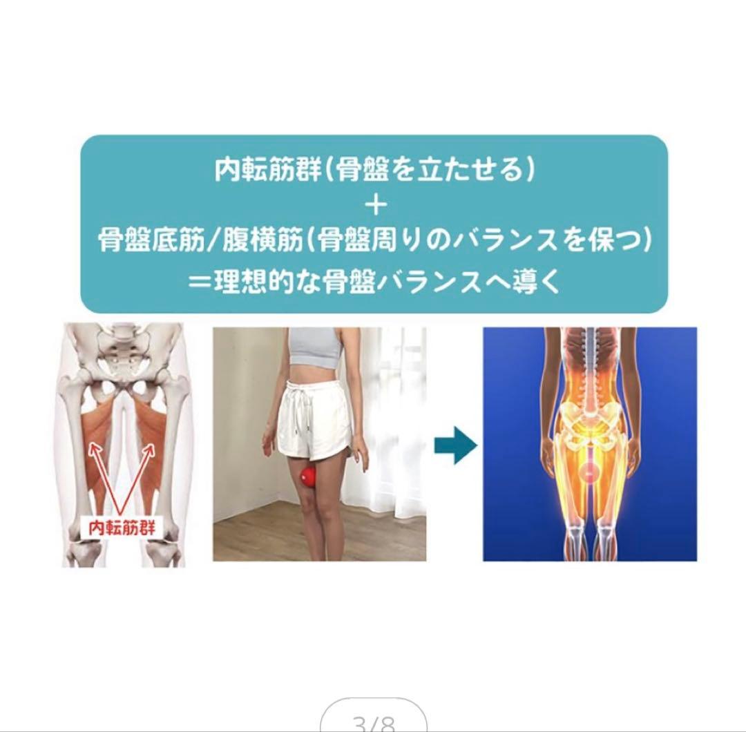 シェイプツインボール　ルネサンス　スポーツオアシス STB-100