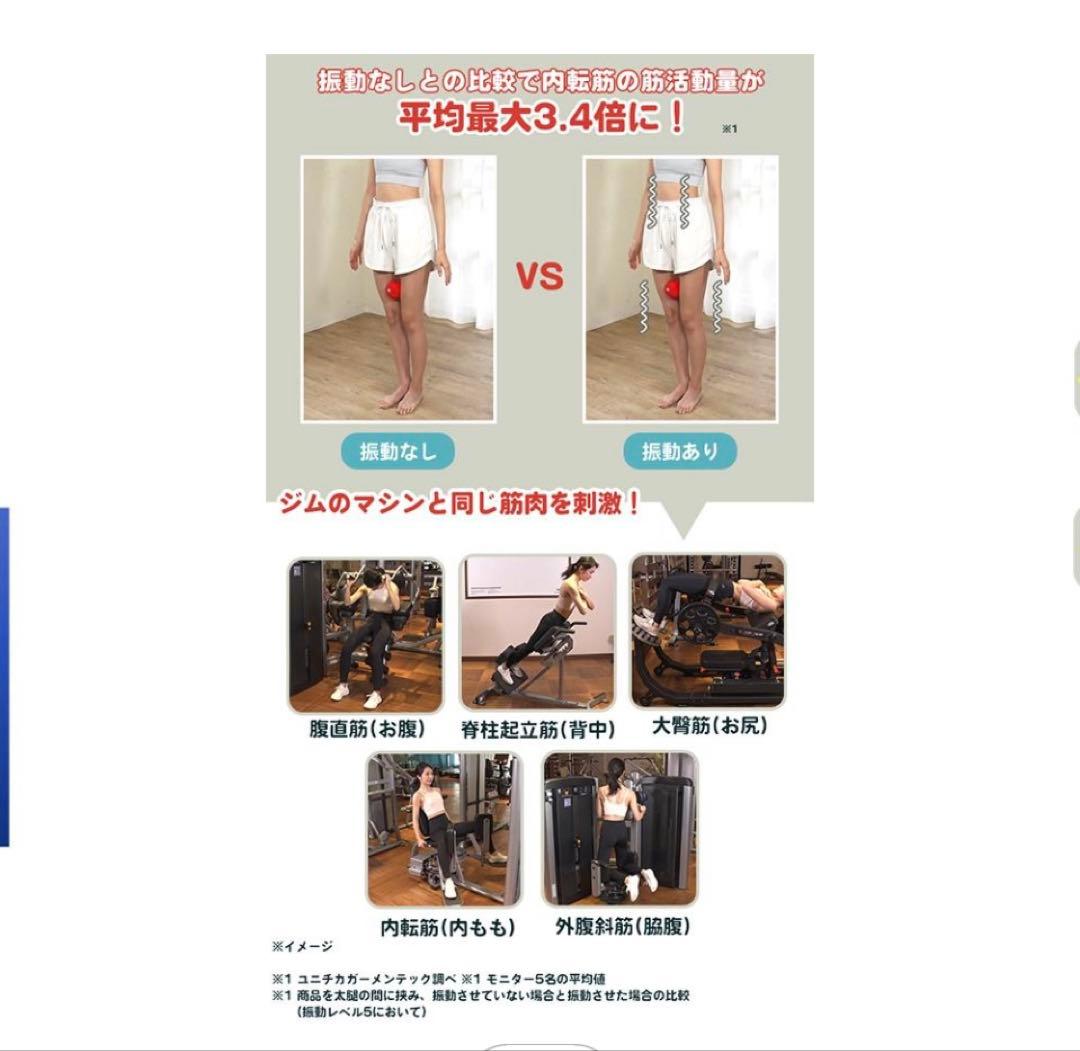 シェイプツインボール　ルネサンス　スポーツオアシス STB-100