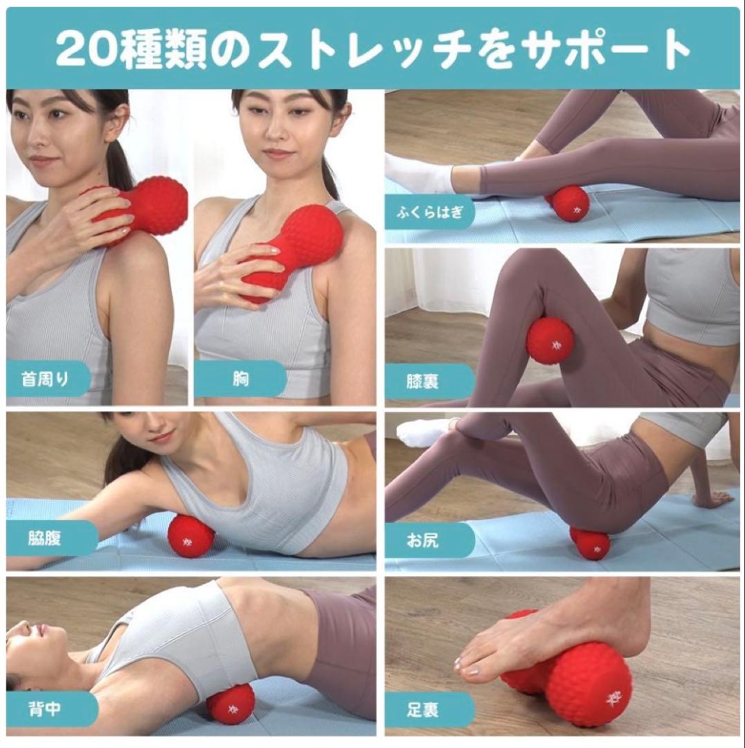 シェイプツインボール　ルネサンス　スポーツオアシス STB-100