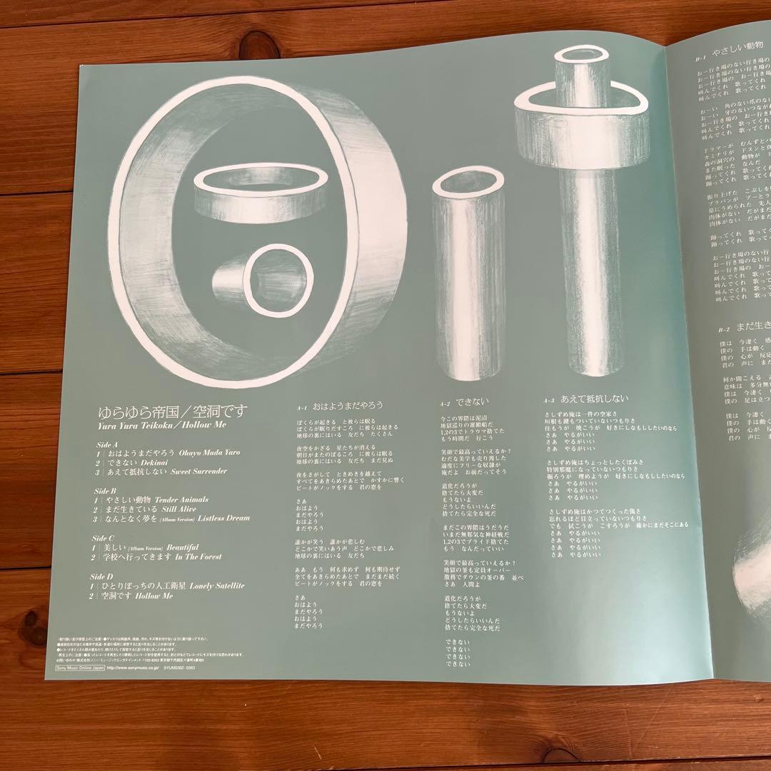 ゆらゆら帝国 空洞です Hollow Me 2LP レコード