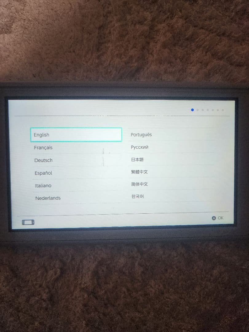 Nintendo Switch Lite グレー 　ポケモン　半ジャンク品