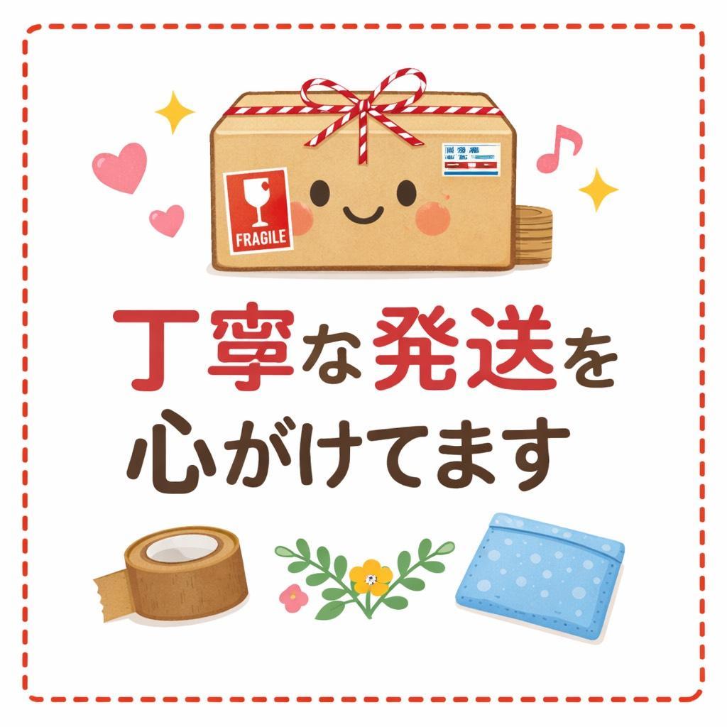 D★コントローラー本体ではなく、eXtremeRate ps5コントローラー（B