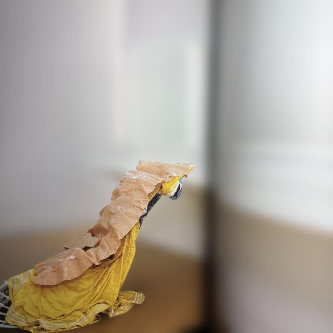 マシューバーニー　THE CREMASTER CYCLE