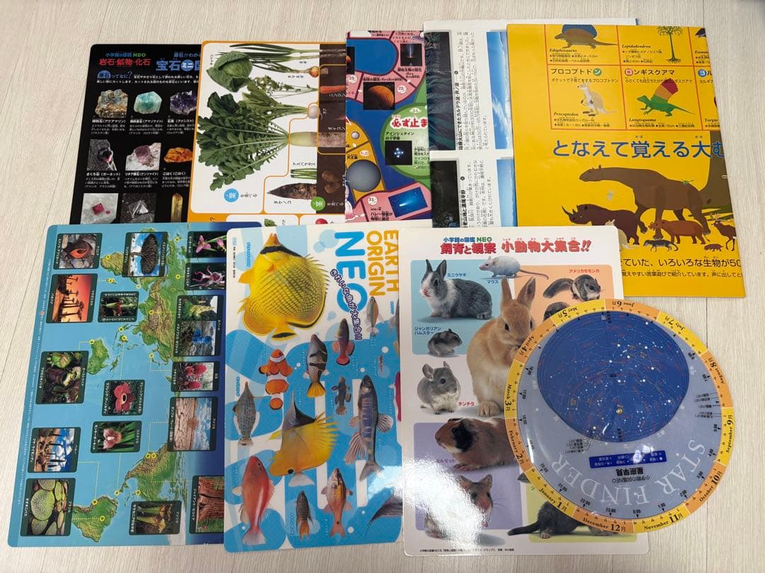 小学館の図鑑NEO 全20巻 DVD付き　まとめ売り