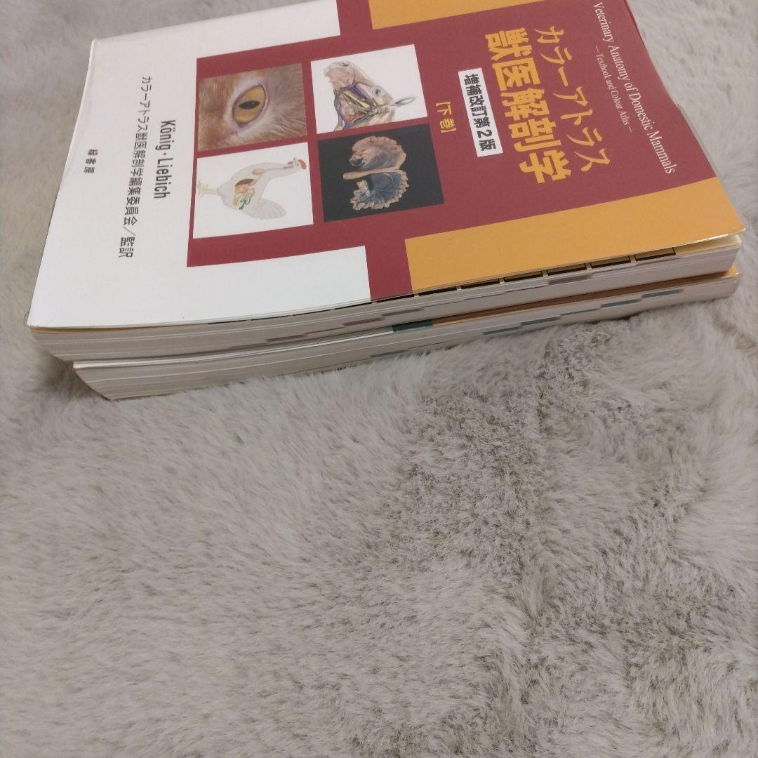 カラーアトラス獣医解剖学（増補改訂第2版） 上下巻セット