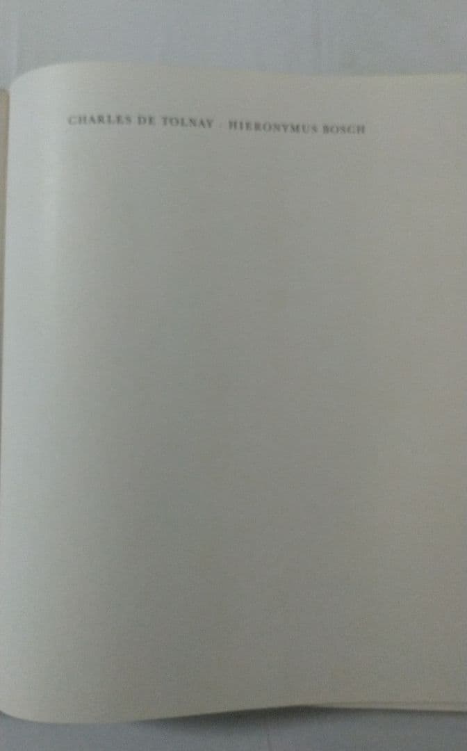 Hieronymus Bosch ヒエロニームス・ボッシュ (ボス) 洋書