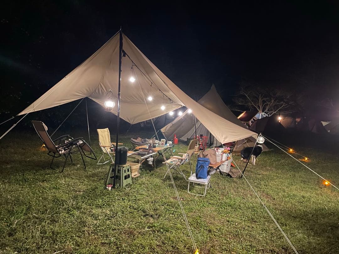 サバティカルマリポサL