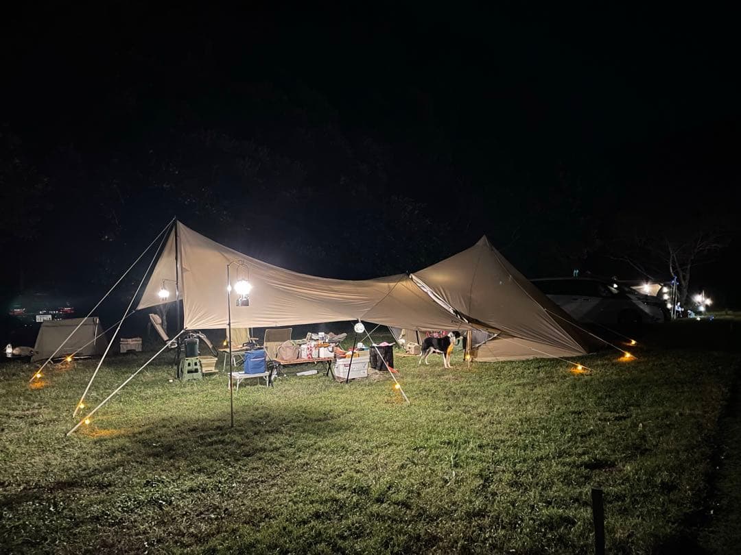 サバティカルマリポサL