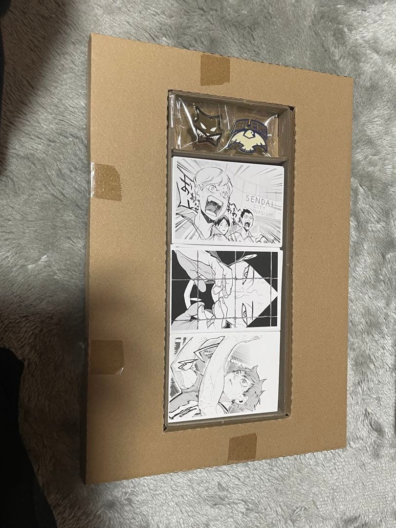 ハイキュー10thクロニクル グッズ付き同梱版