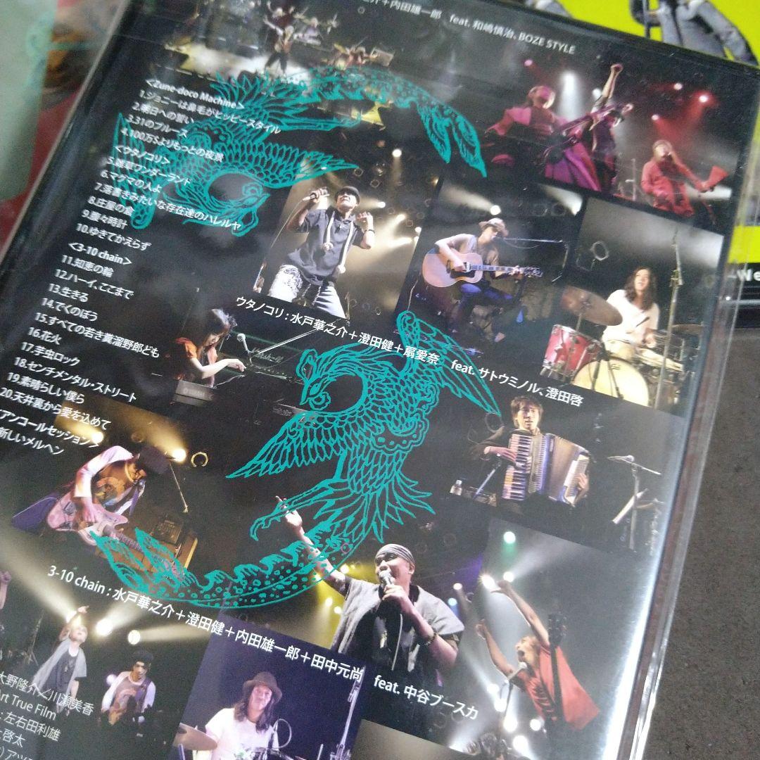 水戸華之介 アンジー