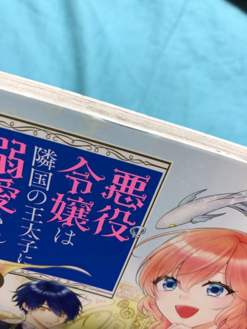 【５巻以降初版】悪役令嬢は隣国の王太子に溺愛される 1〜17