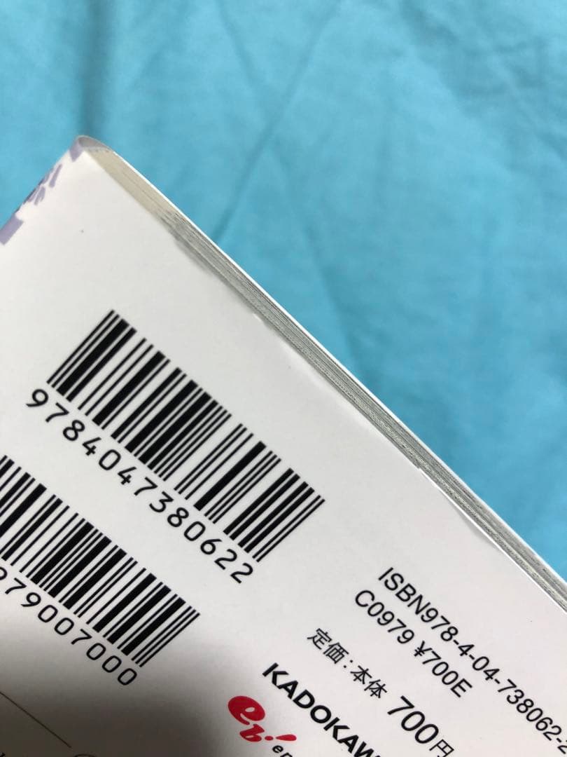 【５巻以降初版】悪役令嬢は隣国の王太子に溺愛される 1〜17