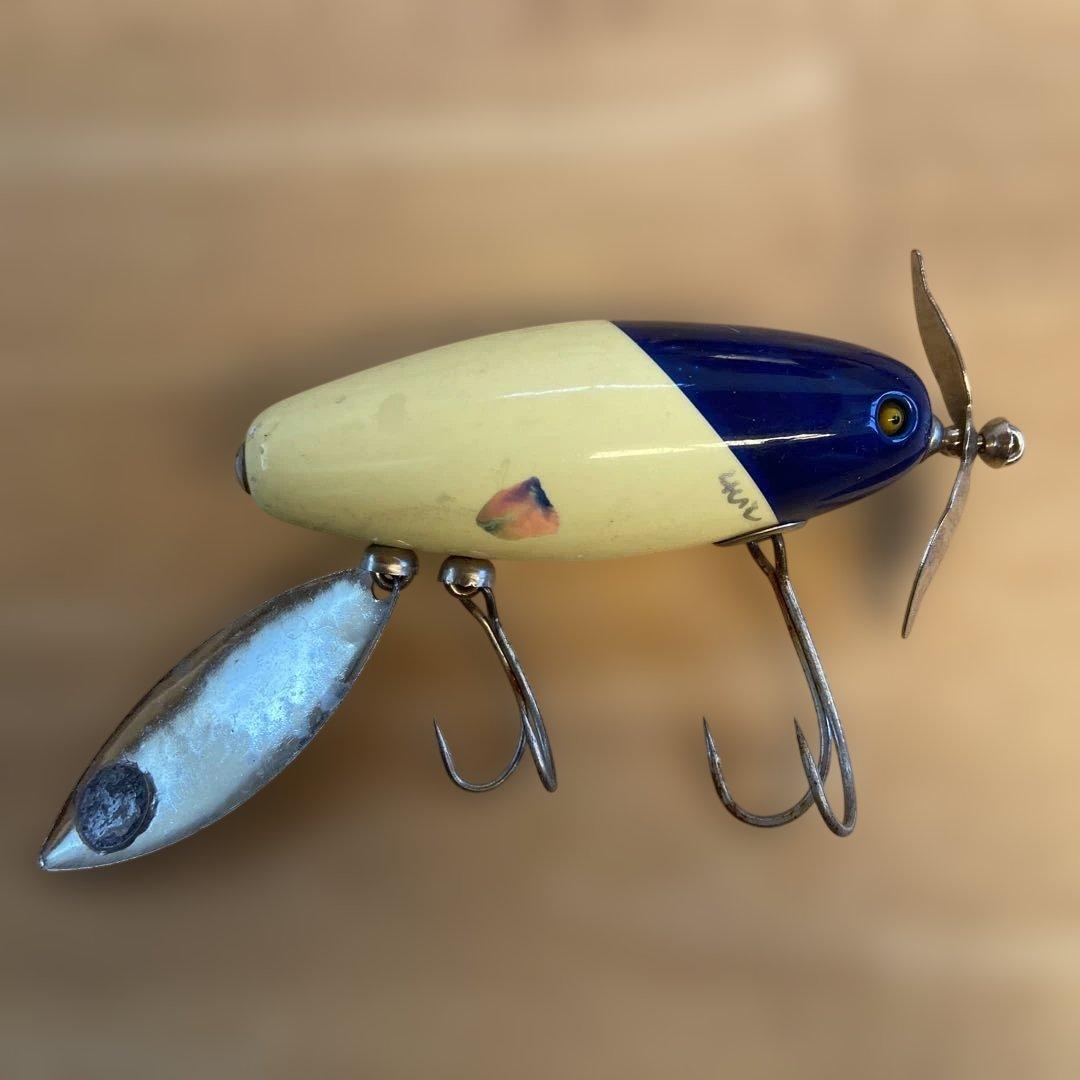 p*n様 クワメス　痴虫