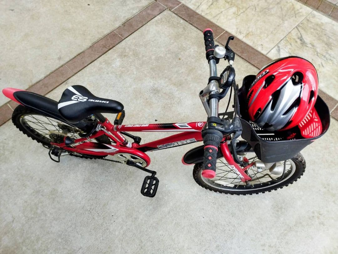 【値下げ可】【引き渡しのみ】ドライドs3 206 20インチ マウンテンバイク