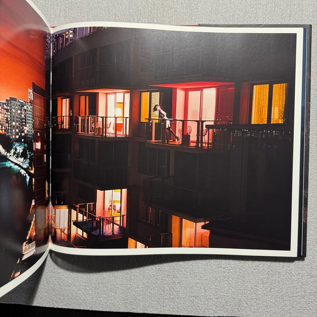 David Drebin デビッド ドレビン The Morning After