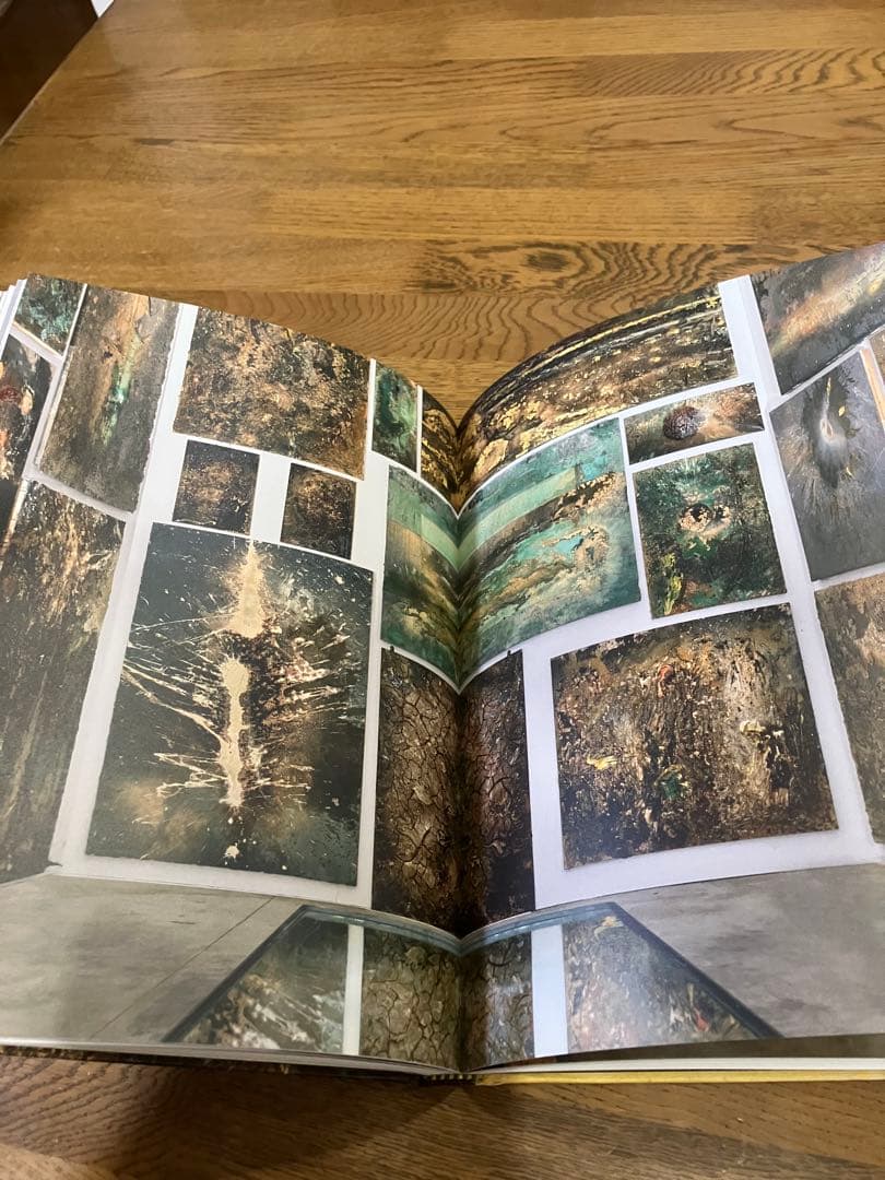 Anselm Kiefer Fallen Angels アンゼルム キーファー