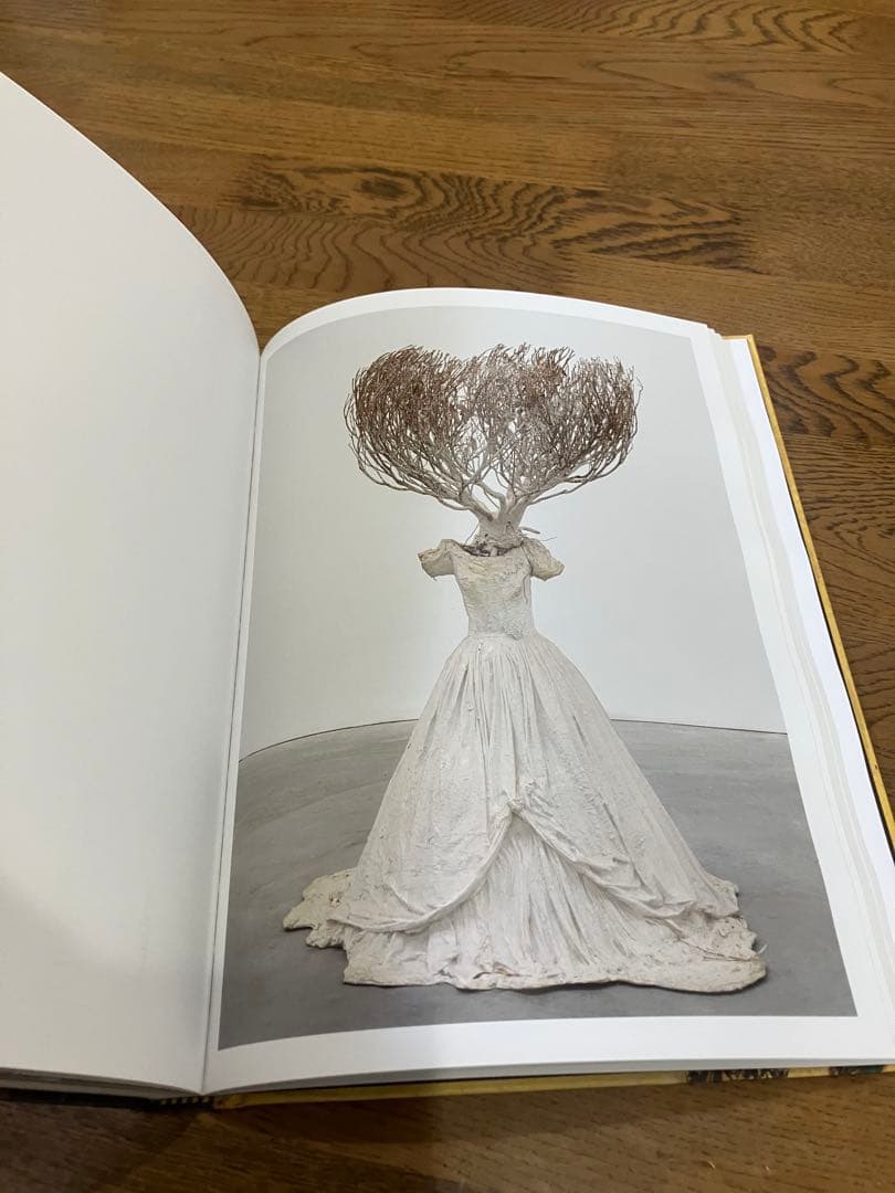 Anselm Kiefer Fallen Angels アンゼルム キーファー