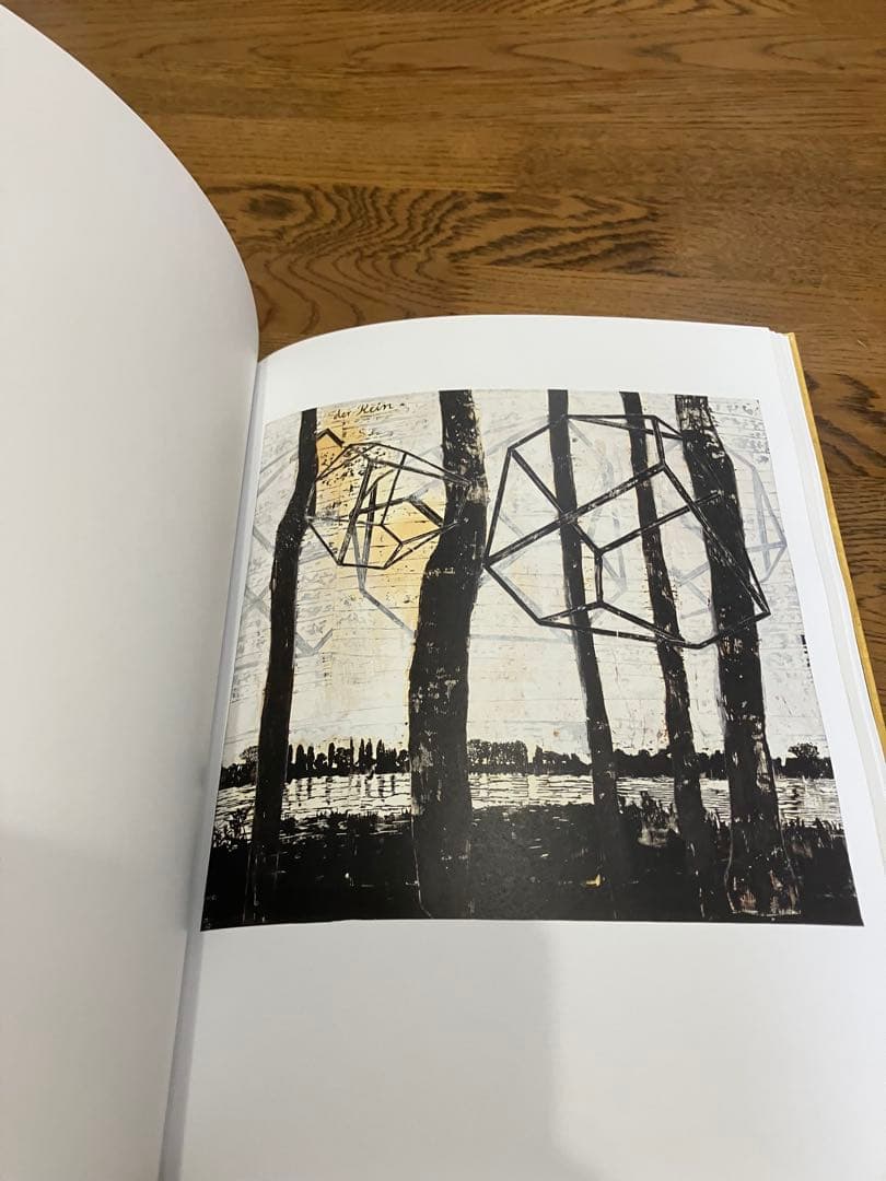 Anselm Kiefer Fallen Angels アンゼルム キーファー