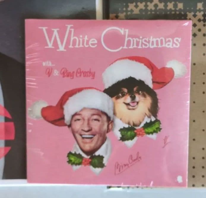 BTS アリラン Standard Vinyl ver テテ Layover