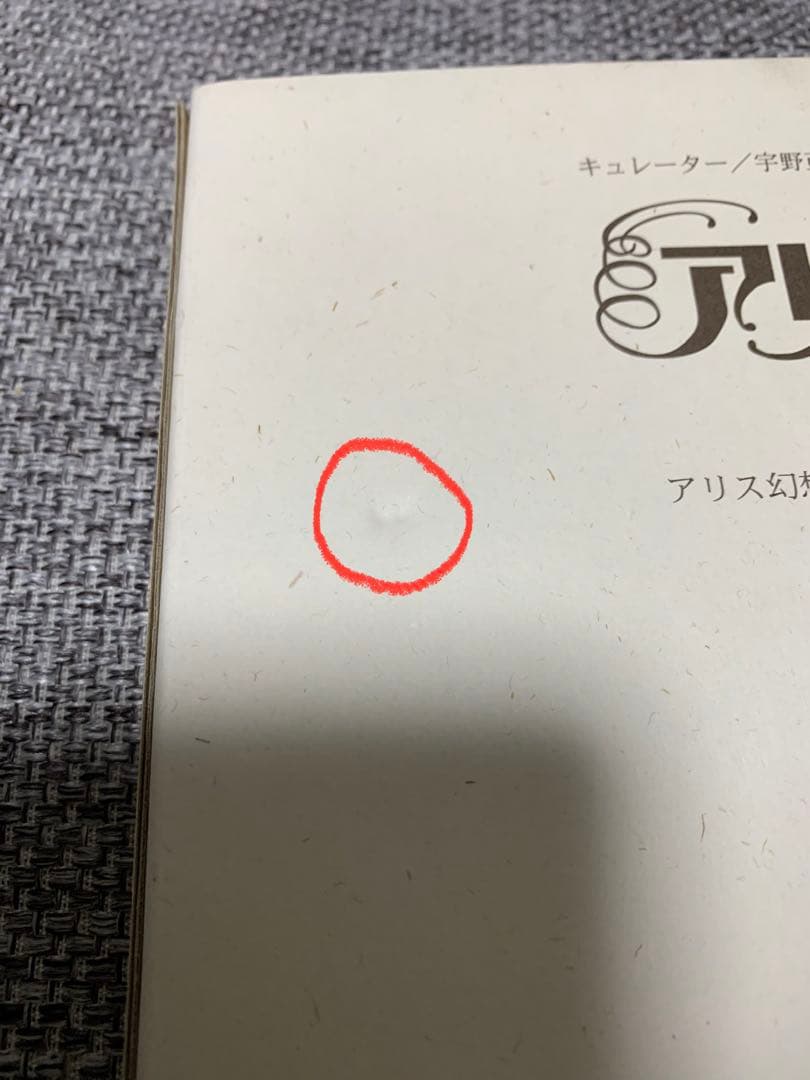 キャロル考現学またはアリスをめぐる幻想