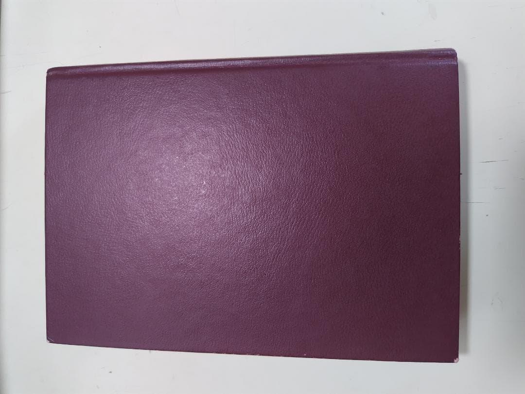 家族面接のすすめ方: ミラノ派システミック療法の実際