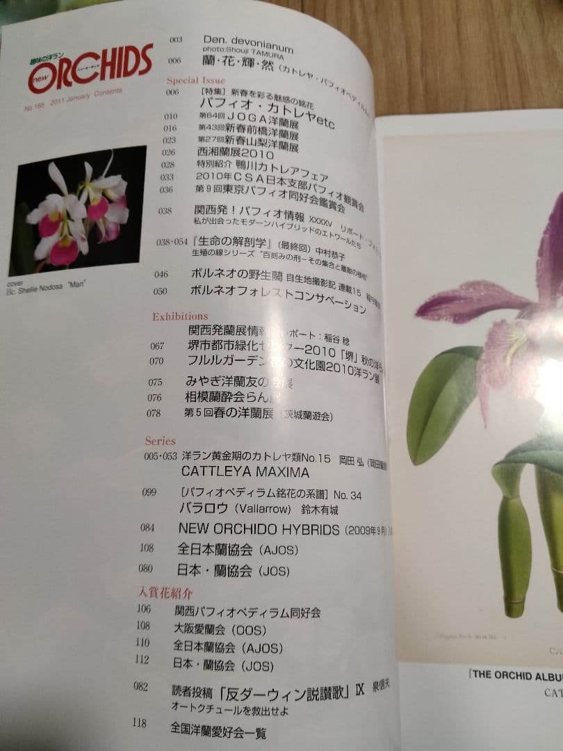 趣味の洋ラン　 ニューオーキッド　No160 ~169 10冊　早い者勝ち