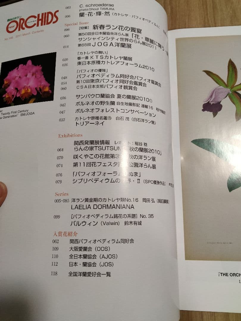 趣味の洋ラン　 ニューオーキッド　No160 ~169 10冊　早い者勝ち
