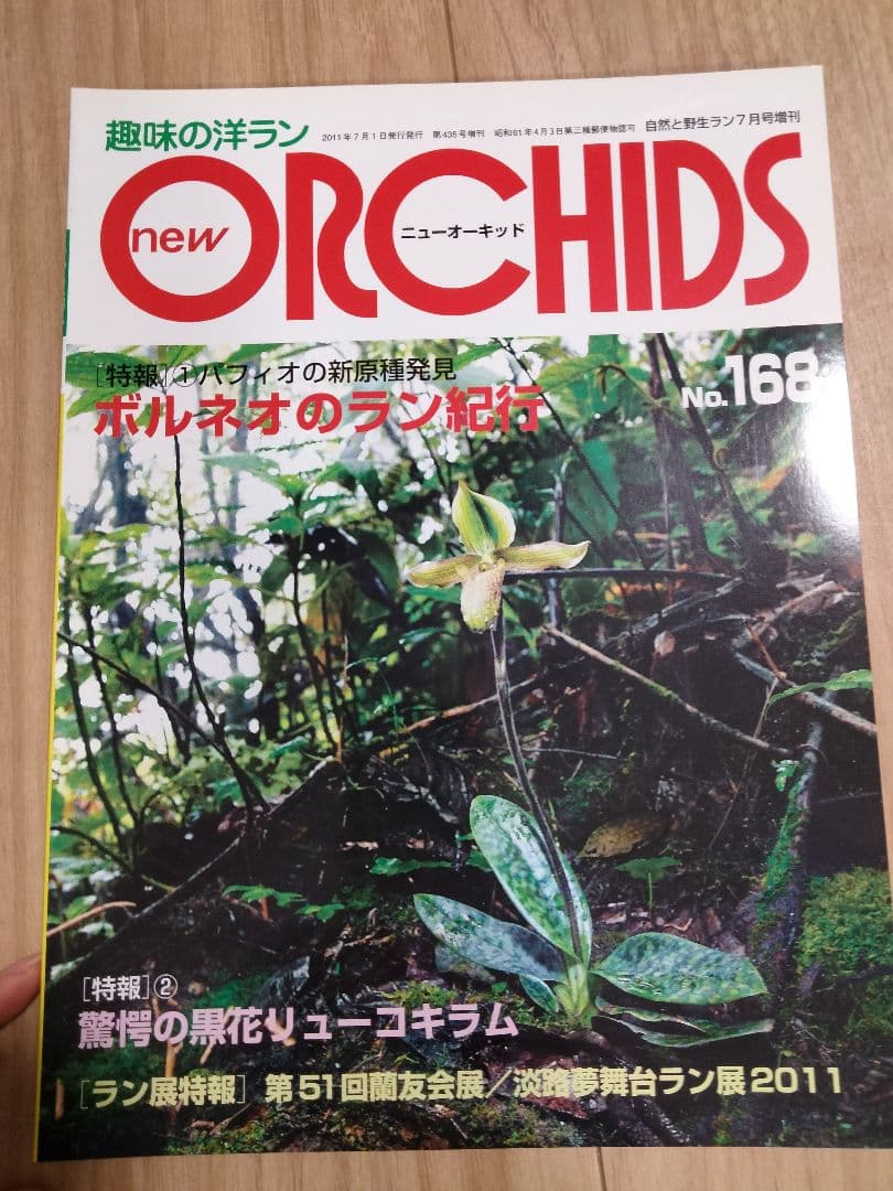 趣味の洋ラン　 ニューオーキッド　No160 ~169 10冊　早い者勝ち
