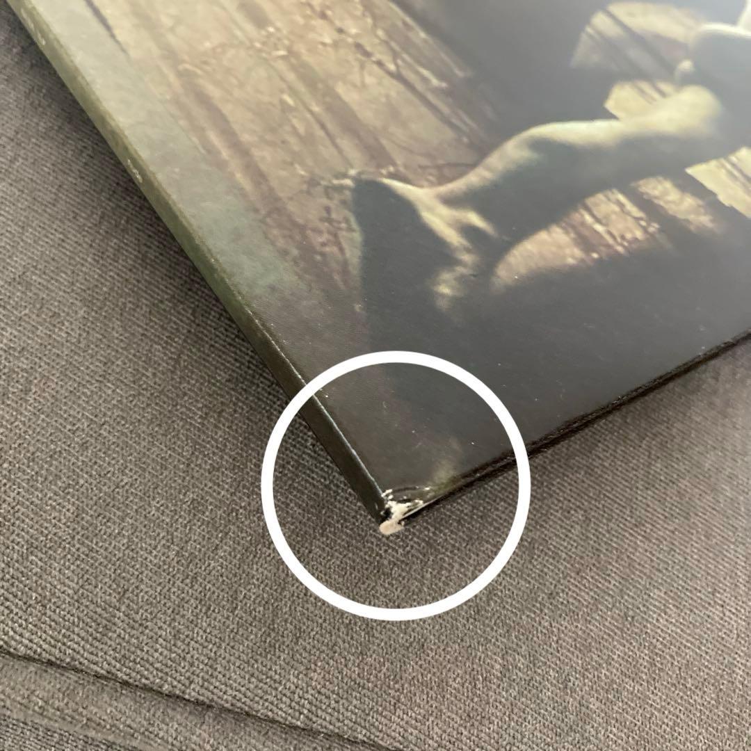 【匿名配送】Suede – Dog Man Star UK Orig. レコード