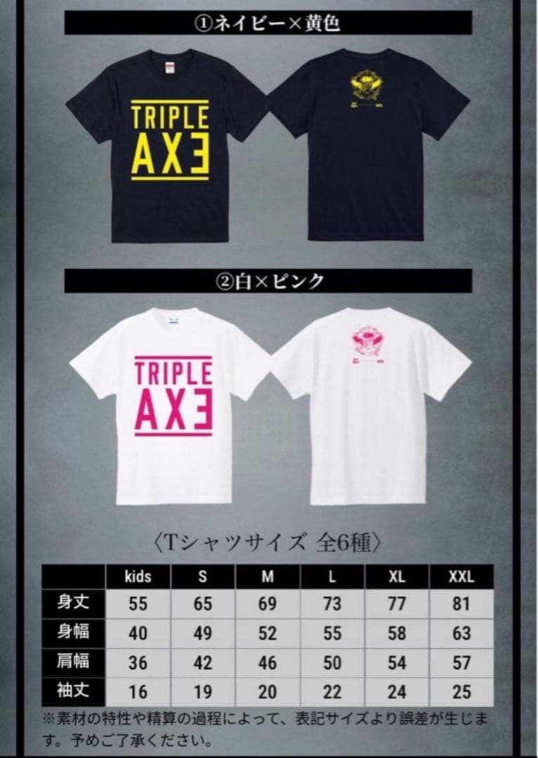 邦画・日本映画 TRIPLE AXE THE LAST TOUR -in Makuhari