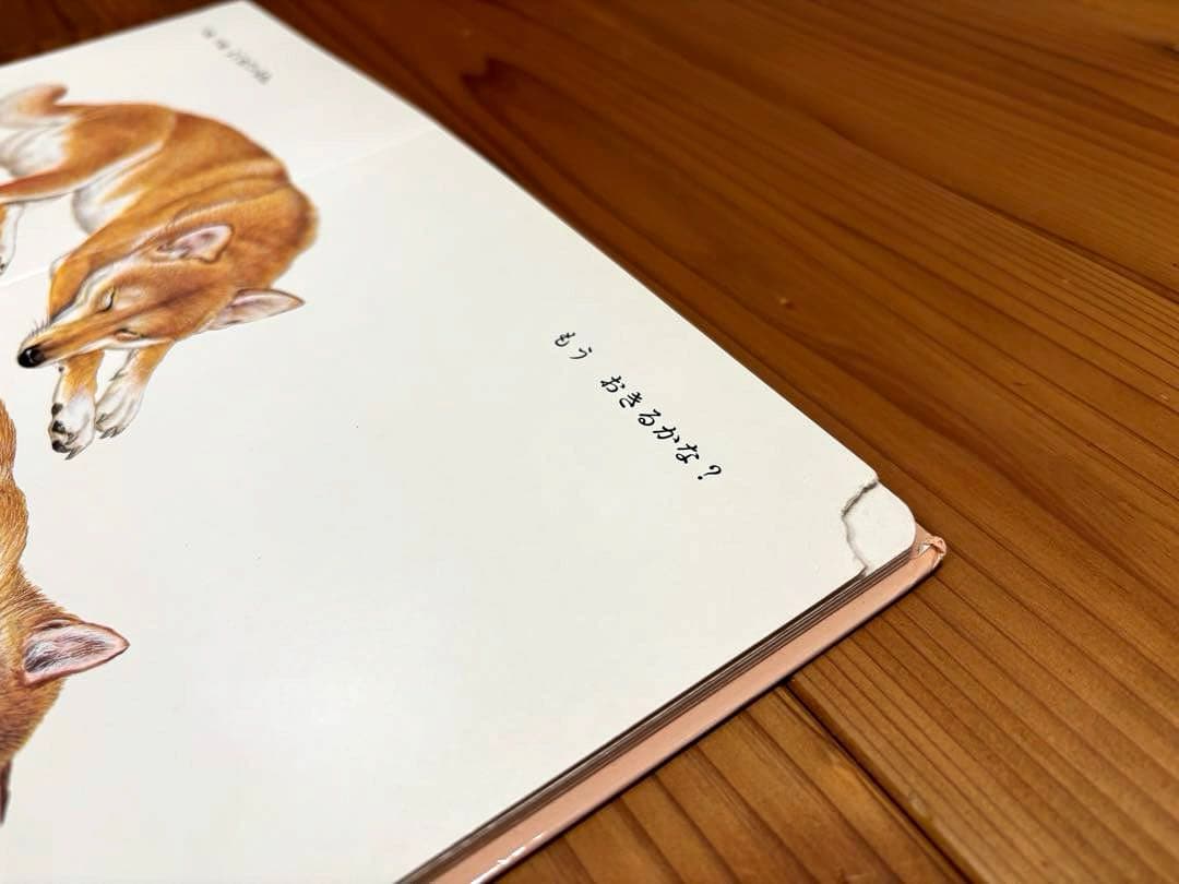 福音館書店 絵本セット こどものとも 等 55冊セット 記名無し 幼児向け