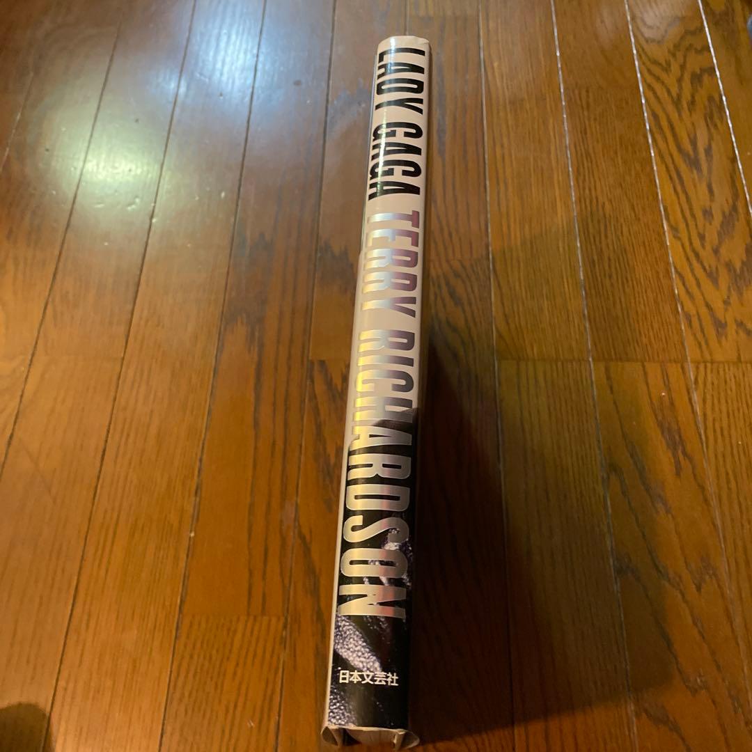 ◼︎レディー・ガガ×テリー・リチャードソン　写真集