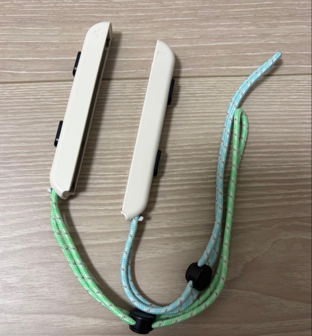 Nintendo Switch あつまれどうぶつの森 限定版デザイン