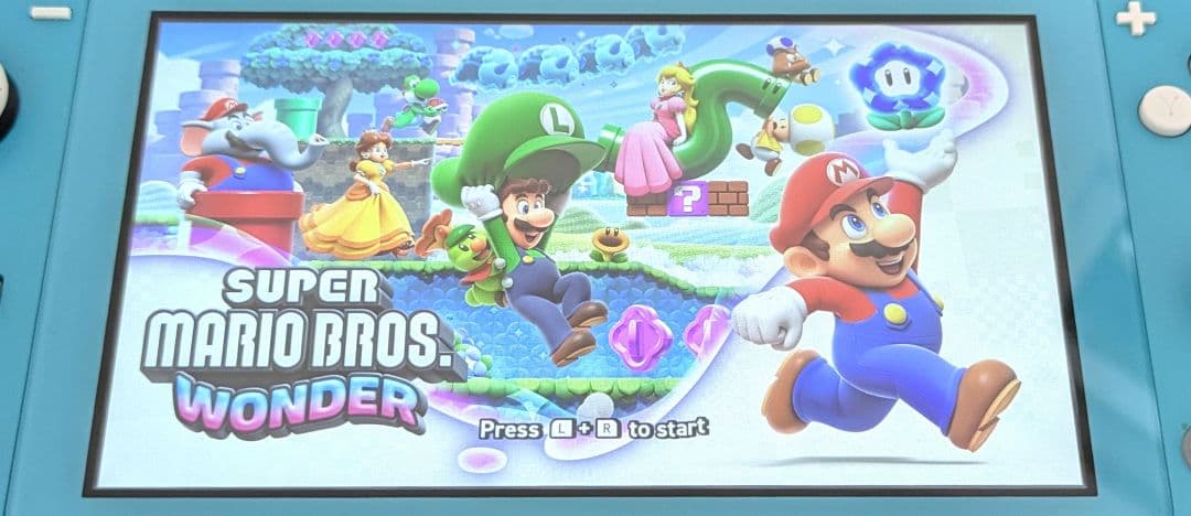 Nintendo Switch Lite ターコイズ 本体のみ C035