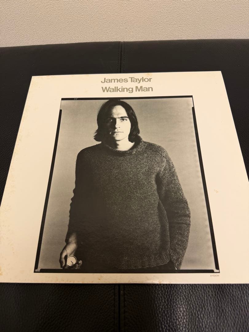 James Taylor ジェイムス・テイラー LP ９タイトルまとめ売り