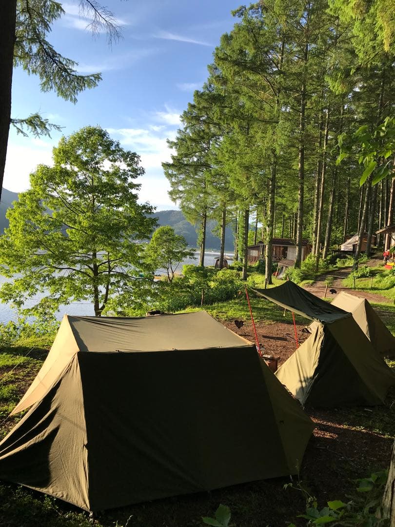 取説付《フューチャーフォックスEVO仕様》二股フレーム＋棟ポールセット　快適空間