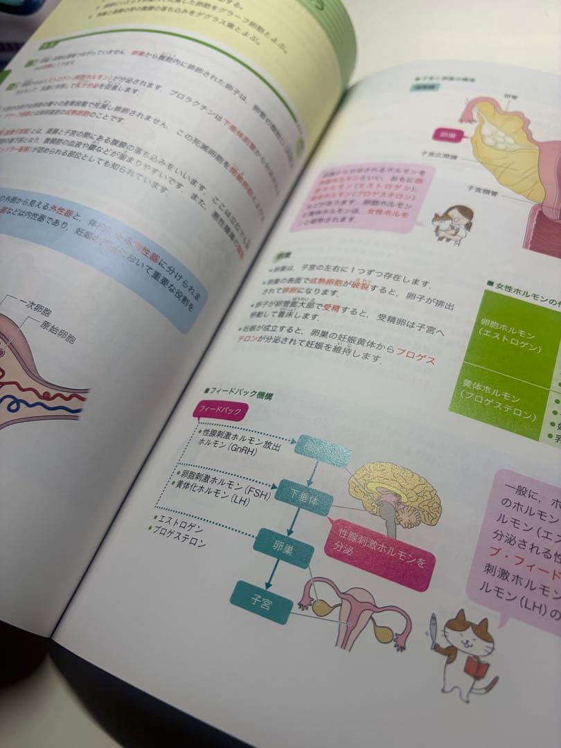 看護国家試験対策　まとめ売り