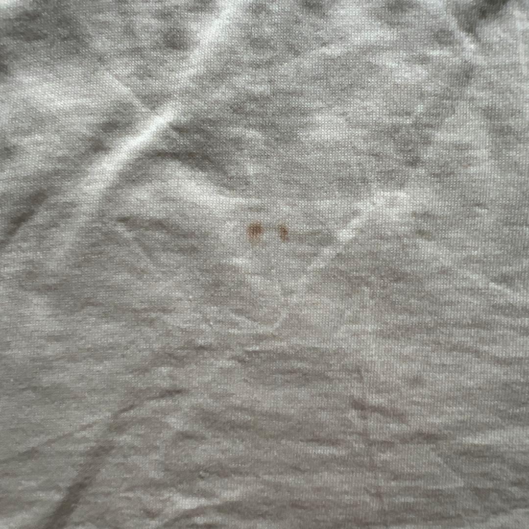 バルサ50 Balsa50 ビッグラッシュ BIG LUSH Tシャツ ザウルス