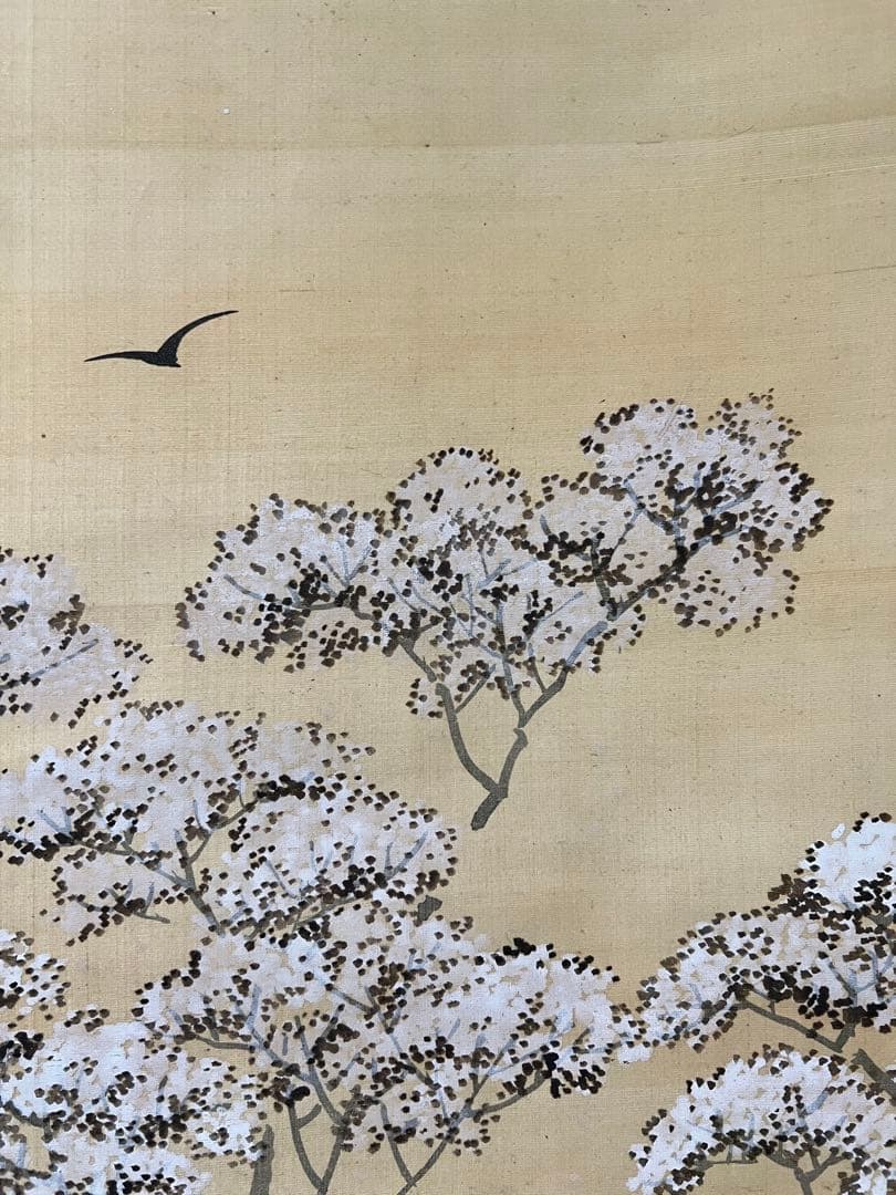 掛け軸　是真　絵［桜図］絹本　木箱付き　送料込み！