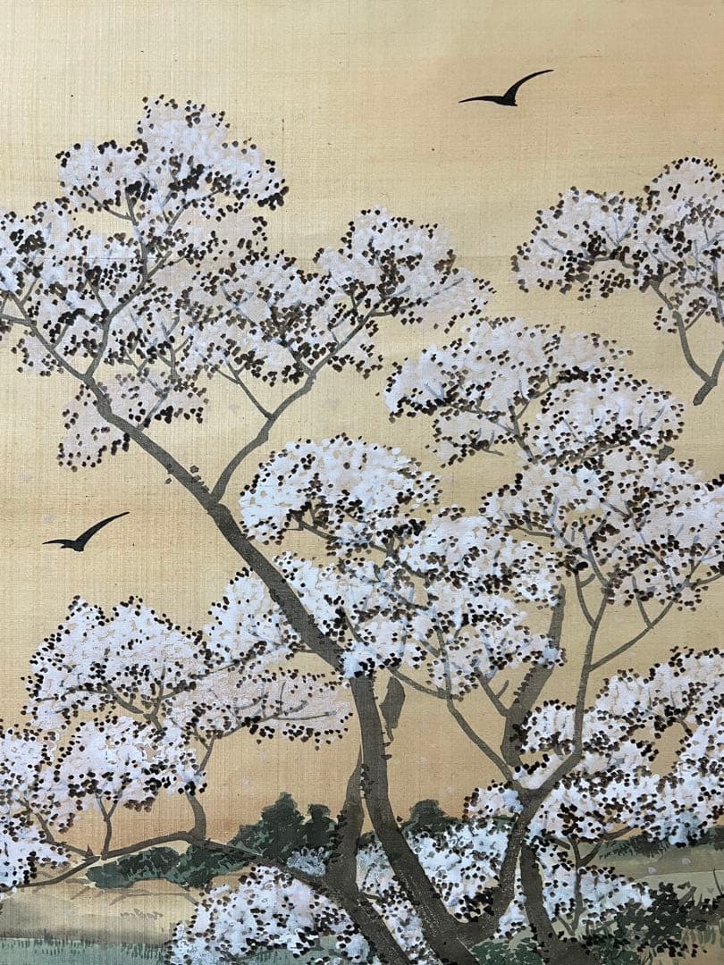 掛け軸　是真　絵［桜図］絹本　木箱付き　送料込み！