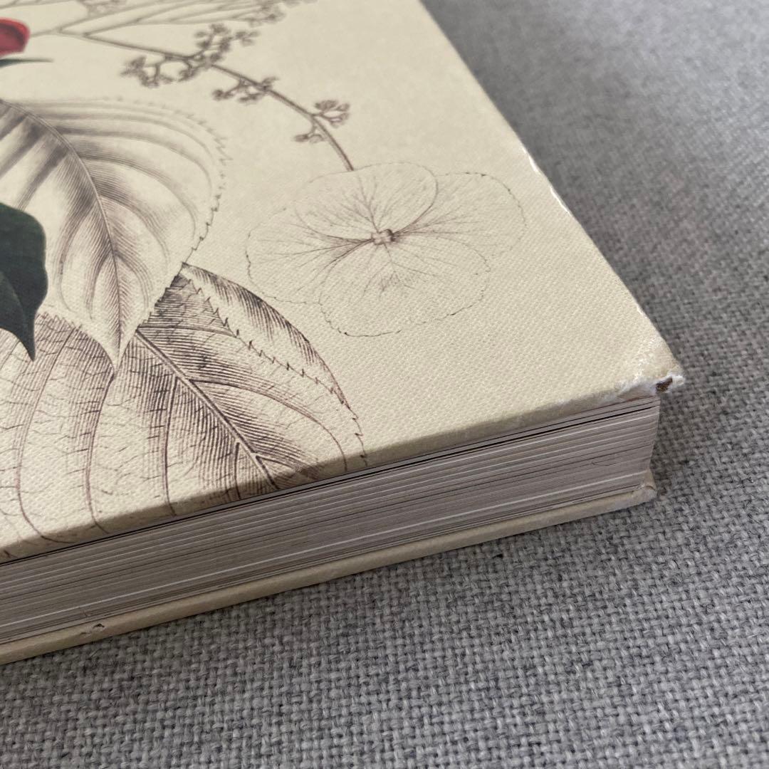 洋書 大判 BOTANICAL ART ボタニカル ACME アンティーク 本