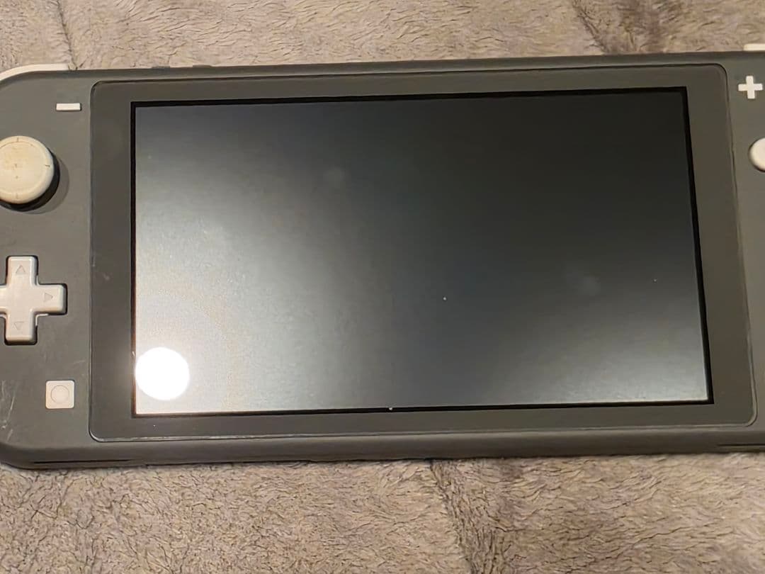 Switchライト グレー