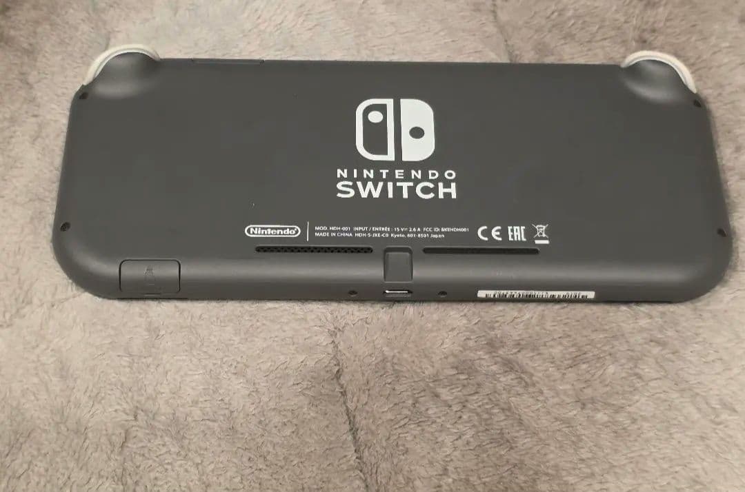 Switchライト グレー