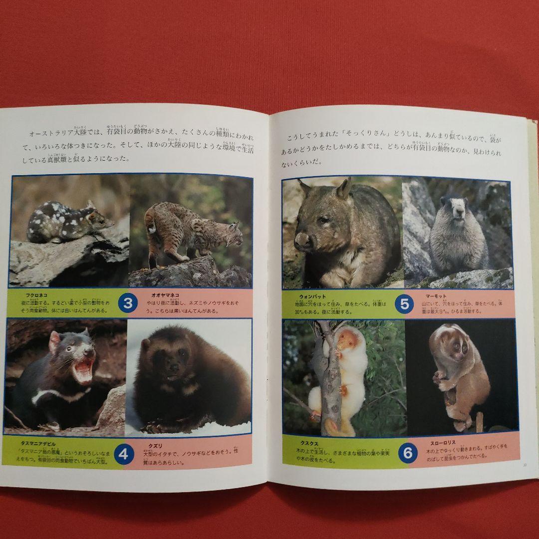 たくさんのふしぎ　キンダーブックしぜん　似たもの動物園　いきものくらべっこ