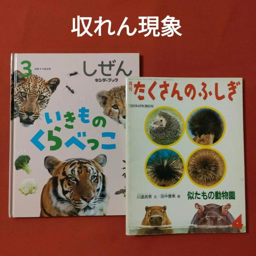 たくさんのふしぎ　キンダーブックしぜん　似たもの動物園　いきものくらべっこ