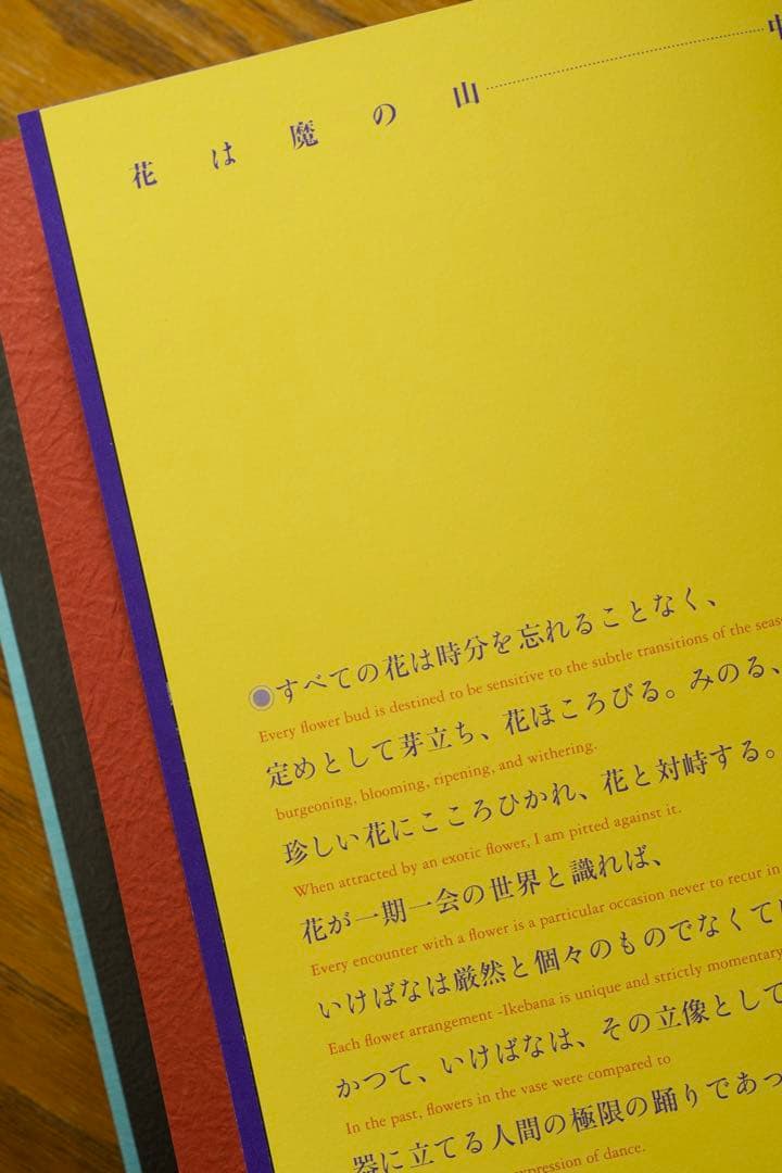 【美品】中川幸夫 作品集『魔の山』