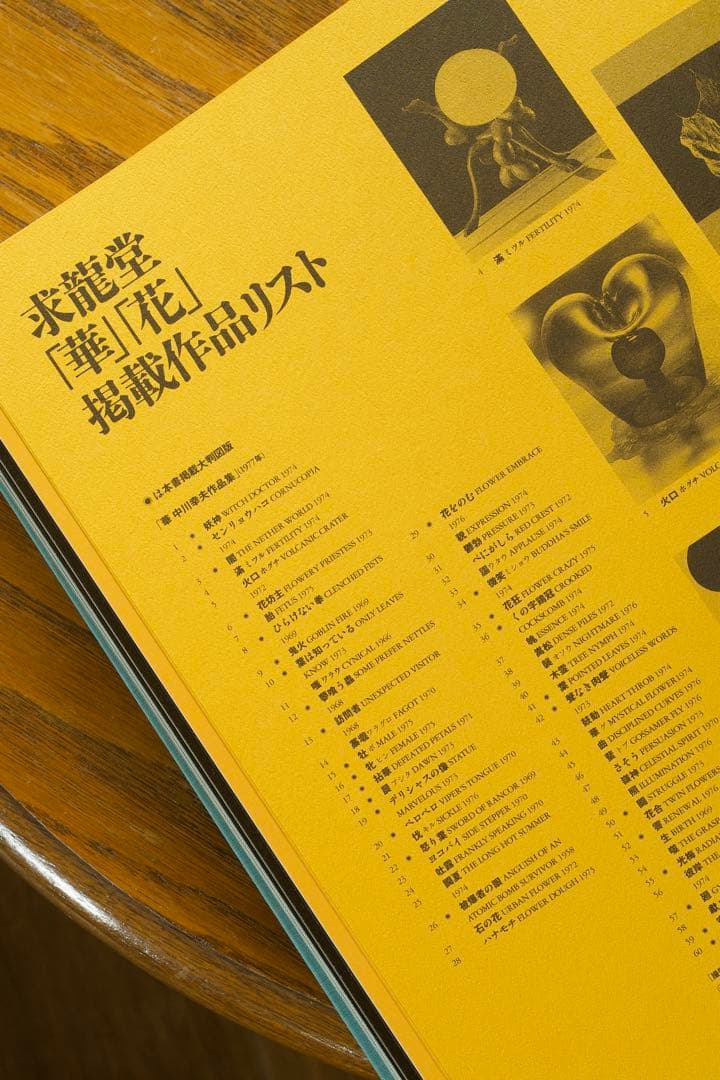 【美品】中川幸夫 作品集『魔の山』